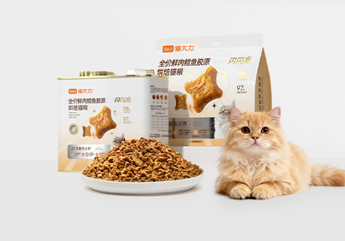闪闪粮.jpg
