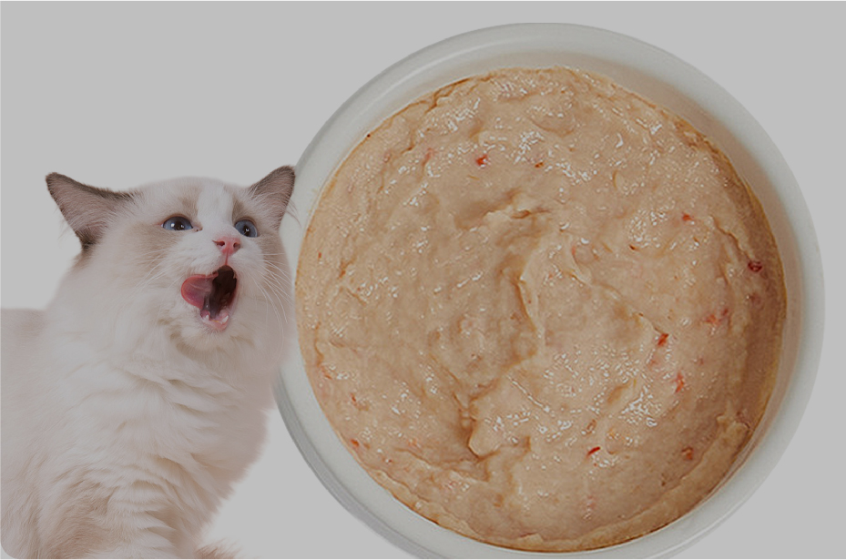 猫条类