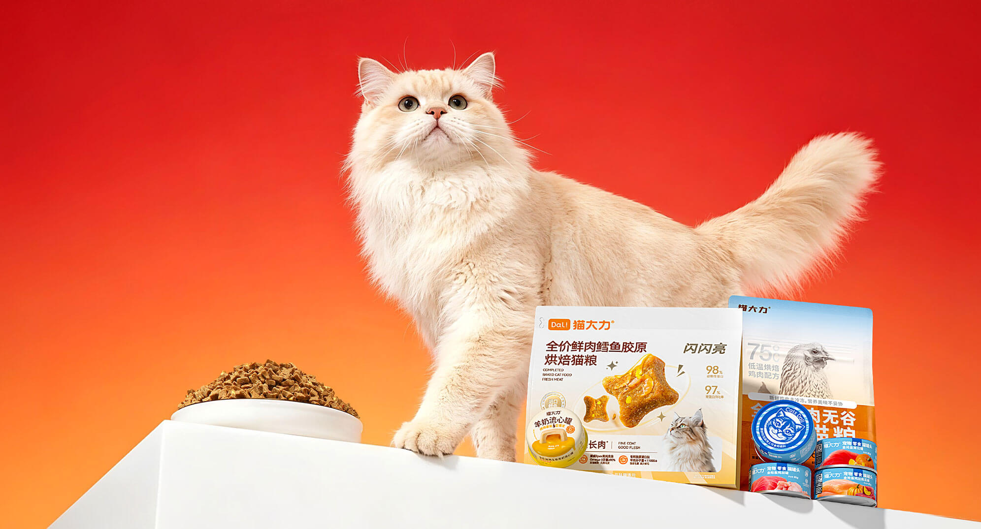 猫大力品牌